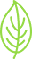 garden care