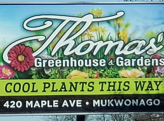 thomas greenhouse and garden center
