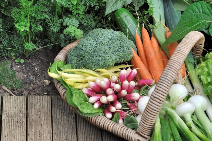 How to Start Your Spring Garden with Cool Weather Vegetables