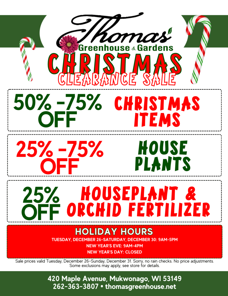 xmas clearance thomas greenhouse and garden center christmas clearance sale