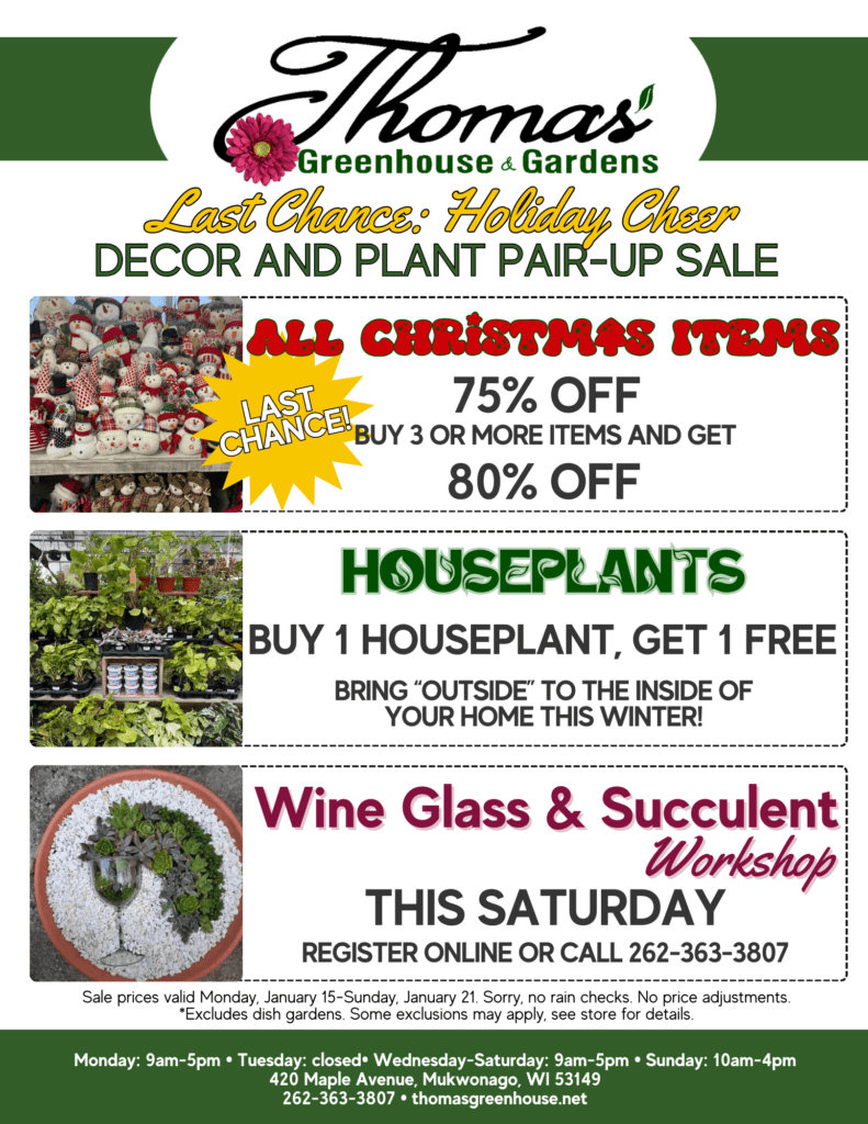 Xmas Blowout (1) Last chance for xmas sale