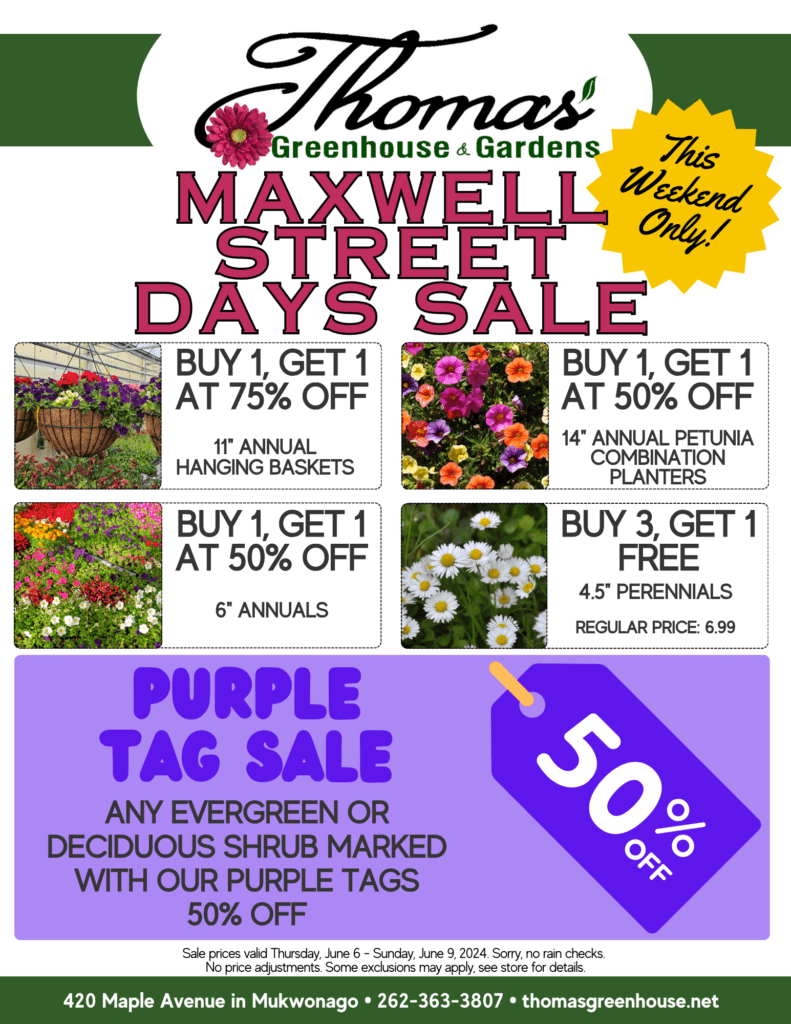 Maxwell Street Sale Maxwell Street Days Sale