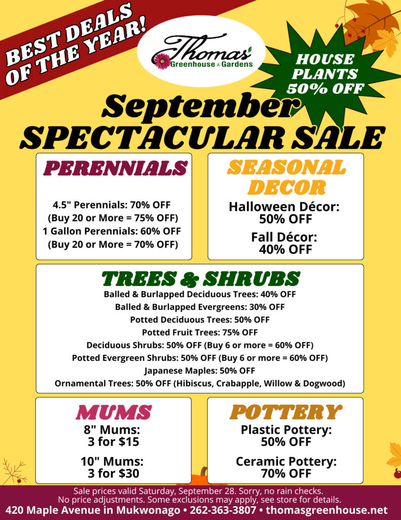 Fall Revised (1) "Flyer for Thomas Greenhouse & Gardens' 'September Spectacular Sale.' The flyer has a yellow background with a red banner that says 'Best Deals of the Year!' The sale starts Saturday, September 28, 2024. The main headline reads 'September Spectacular Sale' with 'House Plants 50% OFF' highlighted in a green starburst shape. The sale is divided into 5 categories: Perennials: 4.5" Perennials: 70% OFF (Buy 20 or more = 75% OFF) 1 Gallon Perennials: 60% OFF (Buy 20 or more = 70% OFF) Seasonal Décor: Halloween Décor: 50% OFF Fall Décor: 40% OFF Trees & Shrubs: Balled & Burlapped Deciduous Trees: 40% OFF Balled & Burlapped Evergreens: 30% OFF Potted Deciduous Trees: 50% OFF Potted Fruit Trees: 75% OFF Deciduous Shrubs: 50% OFF (Buy 6 or more = 60% OFF) Potted Evergreen Shrubs: 50% OFF (Buy 6 or more = 60% OFF) Japanese Maples: 50% OFF Ornamental Trees: 50% OFF (Hibiscus, Crabapple, Willow, & Dogwood) Mums: 8" Mums: 3 for $15 10" Mums: 3 for $30 Pottery: Plastic Pottery: 50% OFF Ceramic Pottery: 70% OFF At the bottom, it states: 'Sale prices valid Saturday, September 28, 2024. Sorry, no rain checks. No price adjustments. Some exclusions may apply, see store for details.' The location and contact info are also listed: '420 Maple Avenue in Mukwonago • 262-363-3807 • thomasgreenhouse.net'"
