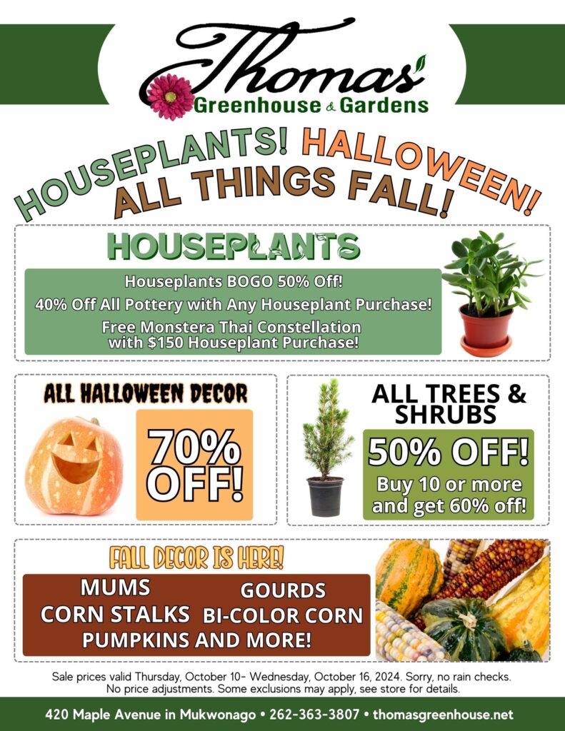 TGH 10-10-24 Promotional Flyer for Thomas Greenhouse & Gardens: "Houseplants! Halloween! All Things Fall!" The flyer features various sales and promotions at Thomas Greenhouse & Gardens, located at 420 Maple Avenue in Mukwonago. It includes the following details: Houseplants: Houseplants are Buy One, Get One 50% Off. 40% Off All Pottery with Any Houseplant Purchase. Free Monstera Thai Constellation with a $150 Houseplant Purchase. All Halloween Decor: 70% Off. All Trees & Shrubs: 50% Off. Buy 10 or more and get 60% Off. Fall Decor is Here: Items include Mums, Gourds, Corn Stalks, Bi-Color Corn, Pumpkins, and more. The sale is valid from Thursday, October 10 to Wednesday, October 16, 2024. Contact information: Phone number is 262-363-3807, and the website is thomasgreenhouse.net. The flyer has vibrant colors like green, orange, and brown to signify fall and includes images of houseplants, a Halloween pumpkin decoration, a tree, and fall produce.