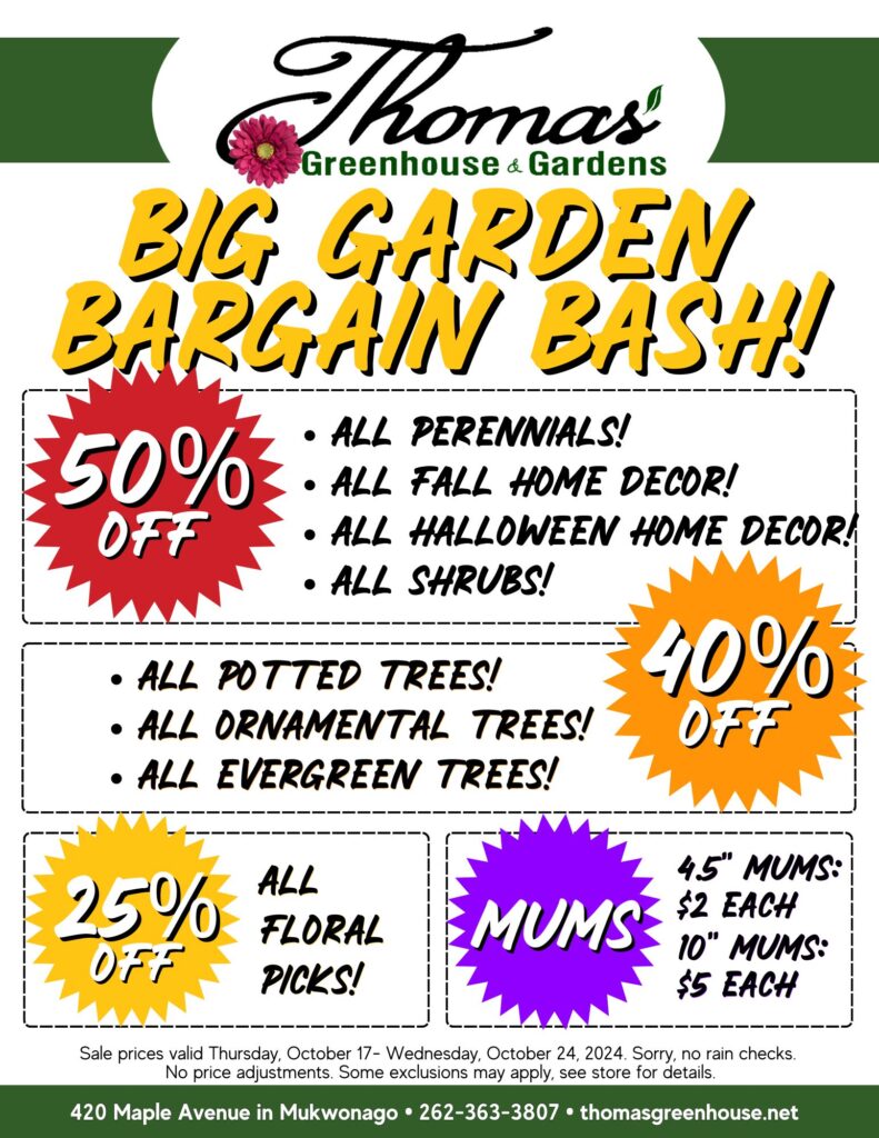 TGH Sale August 22 ig Garden Bargain Bash Sale Flyer from Thomas Greenhouse & Gardens. The flyer promotes sales running from October 17th to October 24th, 2024, featuring: 50% off all perennials, fall home decor, Halloween home decor, and shrubs; 40% off all potted trees, ornamental trees, and evergreen trees; 25% off all floral picks; 4.5-inch mums for $2 each, and 10-inch mums for $5 each. The flyer includes Thomas Greenhouse & Gardens' logo, address at 420 Maple Avenue, Mukwonago, WI, phone number 262-363-3807, and website thomasgreenhouse.net. Terms state 'No price adjustments. Some exclusions may apply, see store for details.