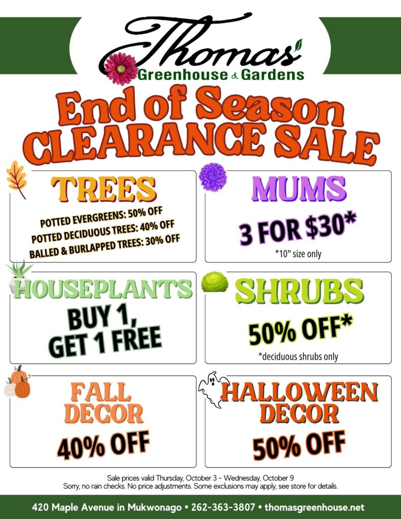 TGH Sale Oct 3 (1) Thomas Greenhouse & Gardens End of Season Clearance Sale flyer. The flyer features the following deals: Trees: Potted Evergreens 50% off, Potted Deciduous Trees 40% off, Balled & Burlapped Trees 30% off. Mums: 3 for $30 (10” size only). Houseplants: Buy 1, Get 1 Free. Shrubs: 50% off (deciduous shrubs only). Fall Decor: 40% off. Halloween Decor: 50% off. The sale is valid from Thursday, October 3 to Wednesday, October 9. The flyer includes a disclaimer: 'Sorry, no rain checks. No price adjustments. Some exclusions may apply, see store for details.' The flyer lists the store address as 420 Maple Avenue in Mukwonago, phone number as 262-363-3807, and website as thomasgreenhouse.net.