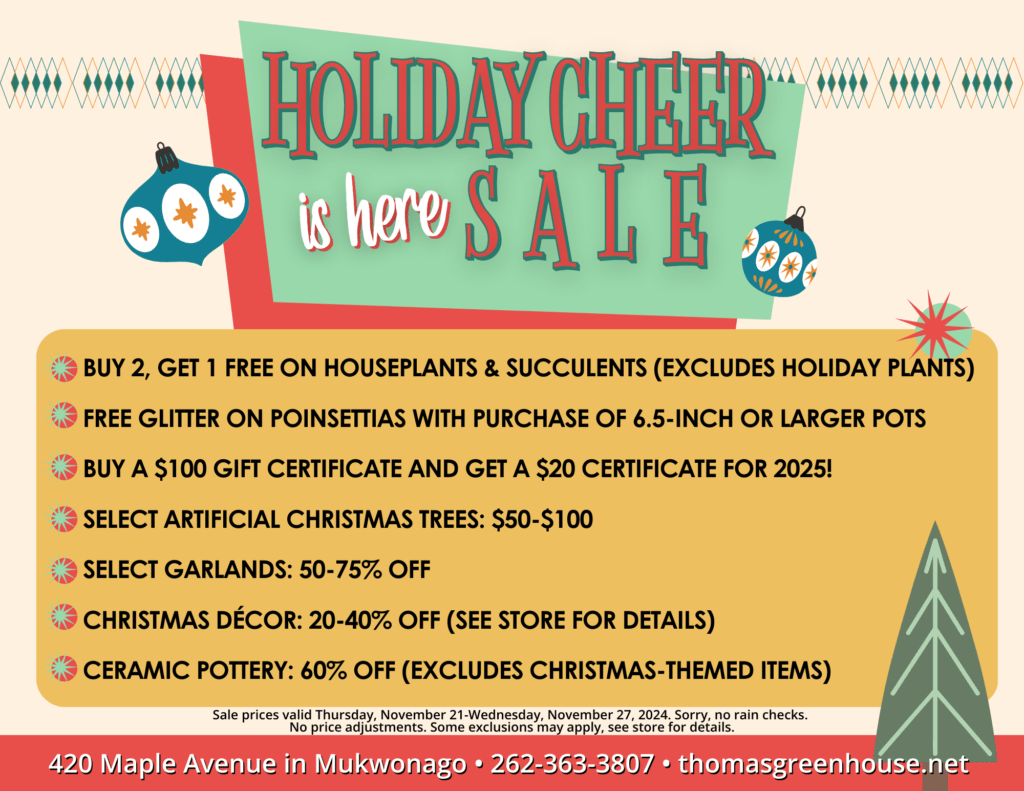 A holiday-themed flyer with the title "Holiday Cheer is Here Sale" in festive green and red lettering. The background features ornaments and decorative holiday designs. Below the title, the flyer lists sales: Buy 2, Get 1 Free on houseplants and succulents (excludes holiday plants). Free glitter on poinsettias with the purchase of a 6.5-inch or larger pot. Buy a $100 gift certificate and get a $20 certificate for 2025. Select artificial Christmas trees: $50-$100. Select garlands: 50-75% off. Christmas décor: 20-40% off (see store for details). Ceramic pottery: 60% off (excludes Christmas-themed items). The footer reads: "Sale prices valid Thursday, November 21 - Wednesday, November 27, 2024. Sorry, no rain checks. No price adjustments. Some exclusions may apply, see store for details." Store information is listed at the bottom: "420 Maple Avenue in Mukwonago • 262-363-3807 • thomasgreenhouse.net.