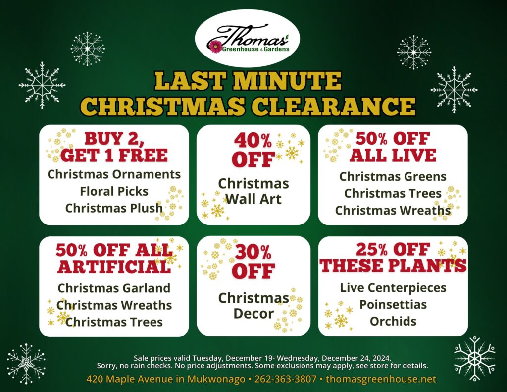 TGH 12-19-24 Sale A holiday-themed graphic promoting Thomas' Greenhouse & Gardens' "Last Minute Christmas Clearance" sale, running from December 19 to December 24, 2024. The graphic is green with white snowflakes and gold accents. The deals include: "Buy 2, Get 1 Free" on Christmas ornaments, floral picks, and Christmas plush. 40% off Christmas wall art. 50% off all live Christmas greens, Christmas trees, and Christmas wreaths. 50% off all artificial Christmas garland, wreaths, and trees. 30% off Christmas décor. 25% off live centerpieces, poinsettias, and orchids. Sale details include no rain checks or price adjustments, with some exclusions. The store address is 420 Maple Avenue, Mukwonago, WI. Contact information includes a phone number (262-363-3807) and website (thomasgreenhouse.net).