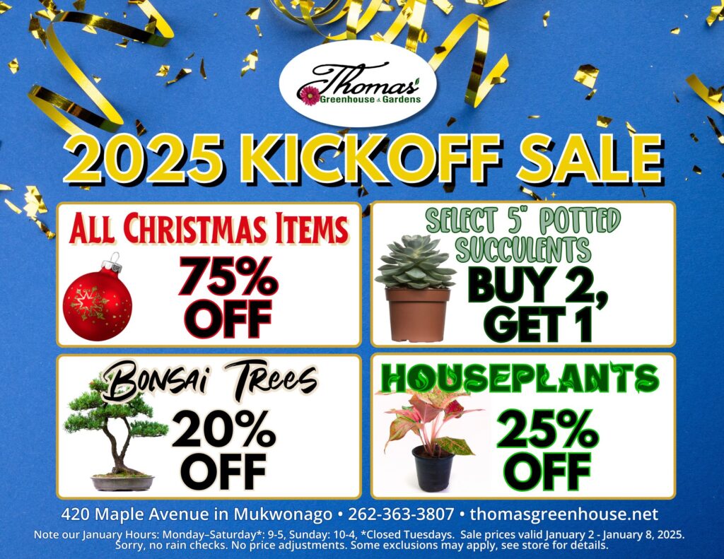 TGH 1-2-25 Promotional flyer for Thomas Greenhouse & Garden Center's 2025 Kickoff Sale. Blue background with gold confetti accents. Sale details include: 'All Christmas Items 75% Off' with an ornament image; 'Select 5” Potted Succulents, Buy 2, Get 1 Free' with a succulent image; 'Bonsai Trees 20% Off' with a bonsai tree image; and 'Houseplants 25% Off' with a colorful houseplant image. Sale runs January 2–January 8, 2025. Location: 420 Maple Avenue in Mukwonago. January hours: Monday–Saturday 9–5, Sunday 10–4, closed Tuesdays. Phone: 262-363-3807. Website: thomasgreenhouse.net. Additional notes: no rain checks, some exclusions may apply, see store for details.