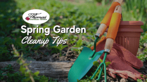 A gardening scene featuring a green trowel and hand rake with wooden handles resting on a pair of worn gardening gloves. A terracotta pot sits in the background among green plants and a fallen tree branch. The overlaid text reads 'Spring Garden Clean-Up Tips' with the 'Thomas' Greenhouse & Gardens' logo in the top left corner.