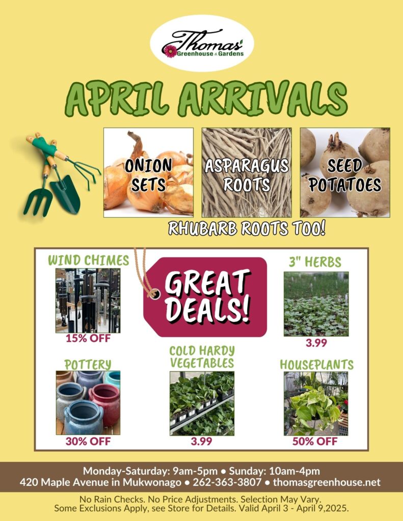 TGH April Arrivals Sale Promotional flyer from Thomas’ Greenhouse & Gardens titled “April Arrivals.” Featured new arrivals include onion sets, asparagus roots, seed potatoes, and rhubarb roots. A “Great Deals!” section highlights discounts: wind chimes (15% off), pottery (30% off), houseplants (50% off), and $3.99 pricing on 3" herbs and cold hardy vegetables. Store hours are Monday–Saturday 9am–5pm and Sunday 10am–4pm. Located at 420 Maple Avenue in Mukwonago. Phone number: 262-363-3807. Website: thomasgreenhouse.net. Offer valid April 3 – April 9, 2025. The background is yellow with gardening tools and product images.