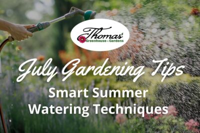 Smart Summer Watering Techniques
