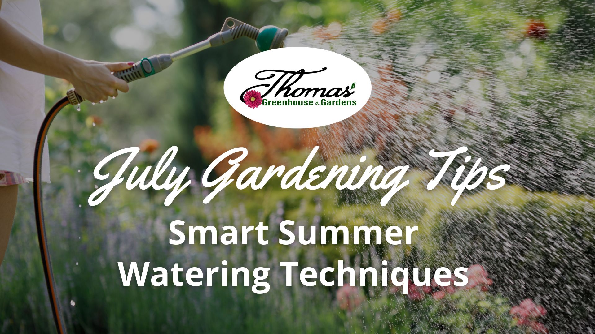 Person watering flowers in a summer garden with a hose and spray nozzle, with text ‘July Gardening Tips: Smart Summer Watering Techniques’ for Thomas Greenhouse & Gardens.