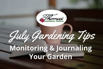 Monitoring and Journaling Your Garden in July