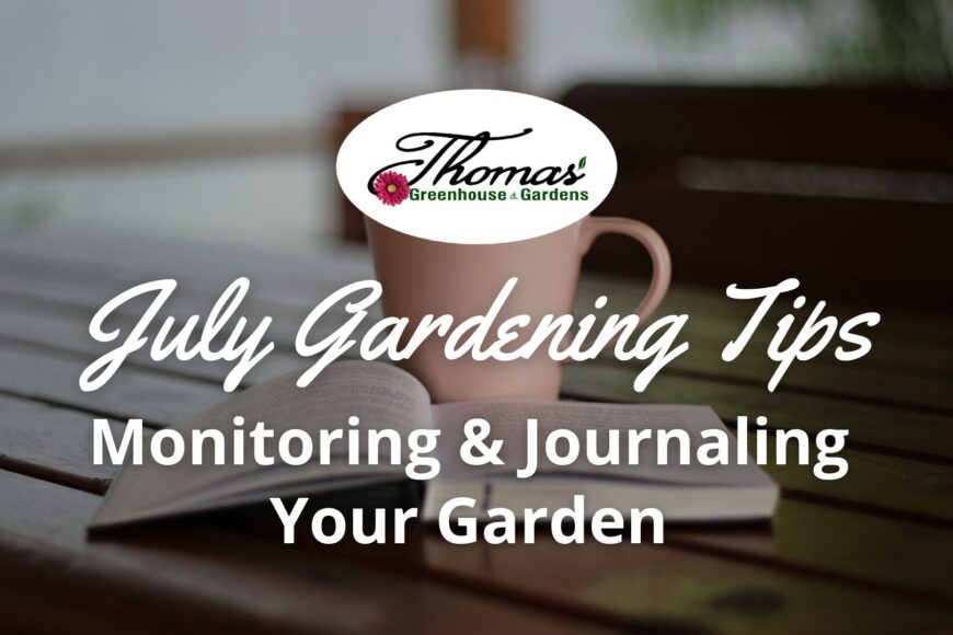 Monitoring and Journaling Your Garden in July
