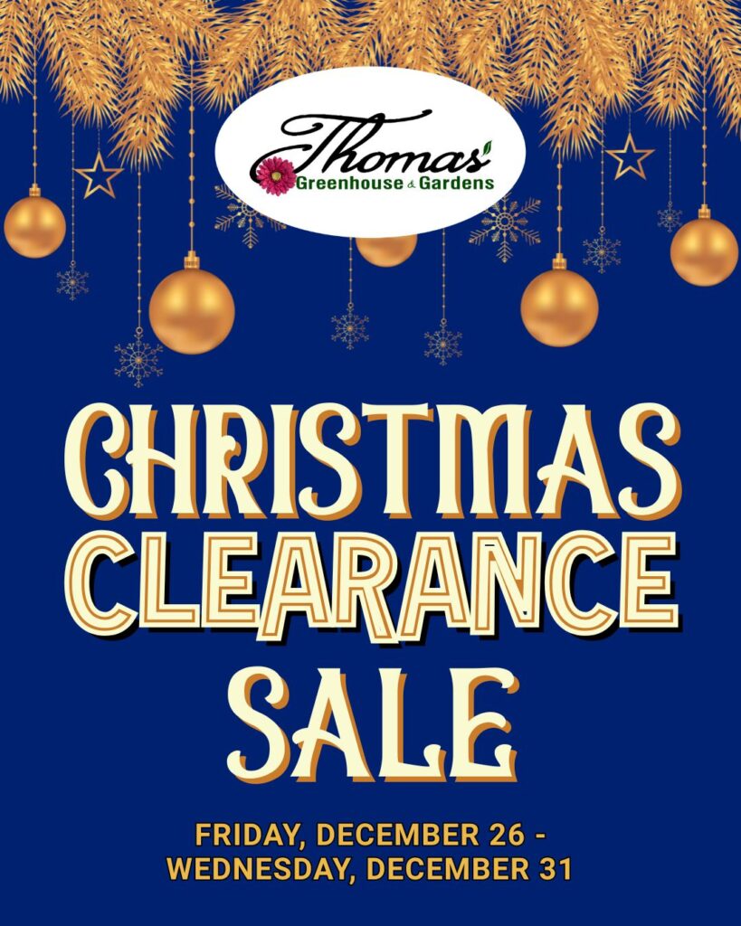 Thomas Greenhouse & Gardens Christmas clearance sale banner with gold ornaments, December 26–31, 2025, Mukwonago, WI